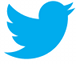 Twitter bird logo